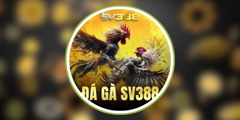 sv388 522